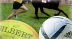 Sport News Quicklinks